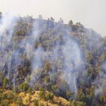 آتش سوزی گسترده در جنگل های ترکیه/ مقامات احتمال خرابکاری دادند